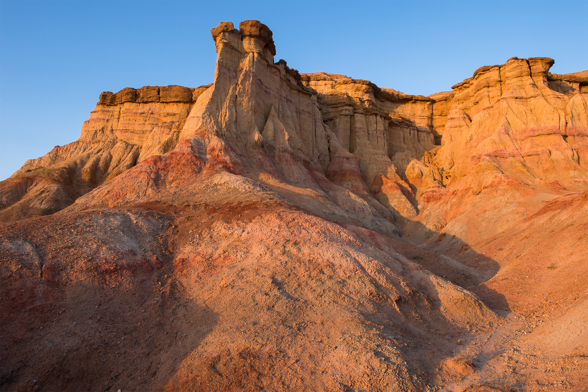 TSAGAAN SUVARGA