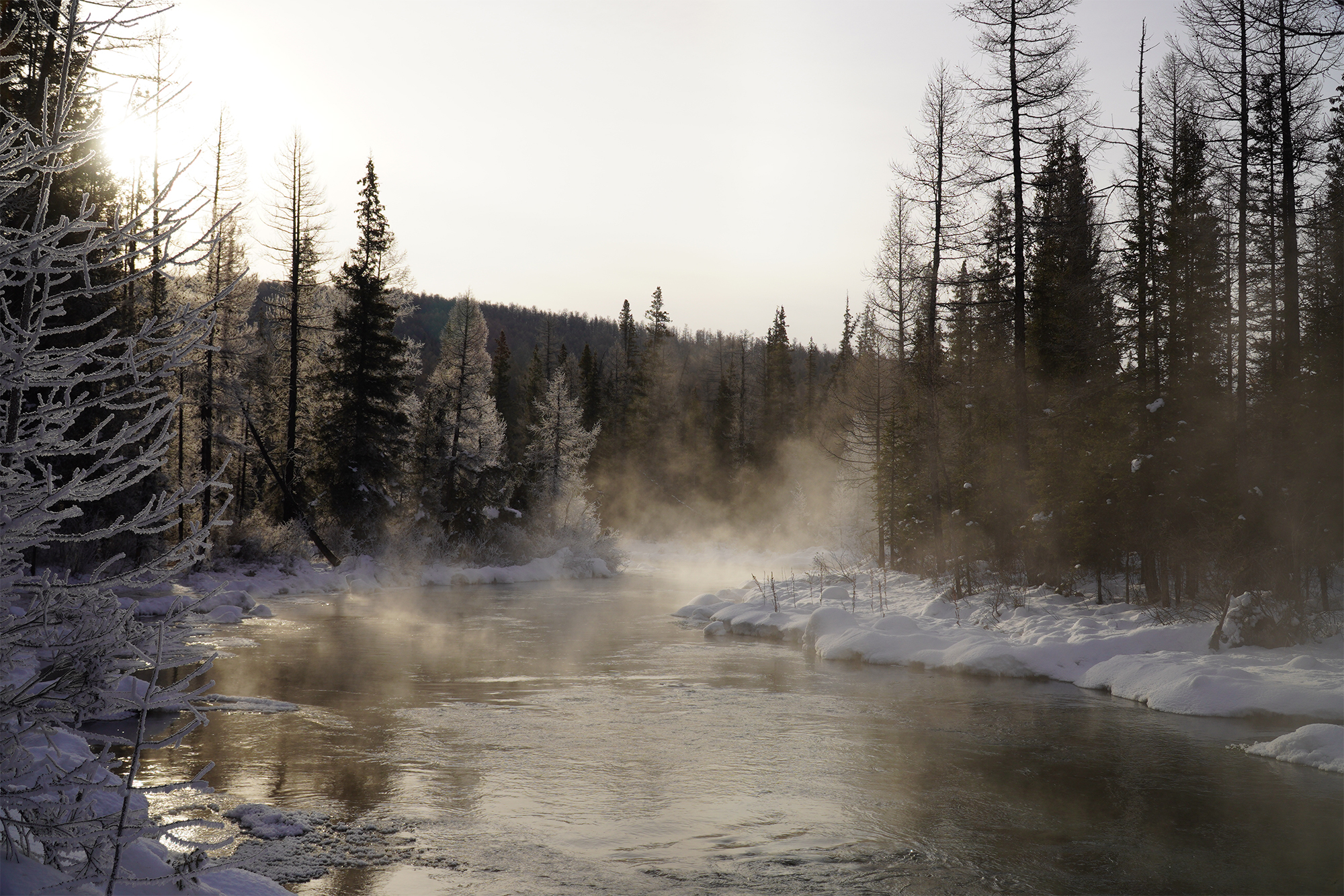 TAIGA’S WINTER