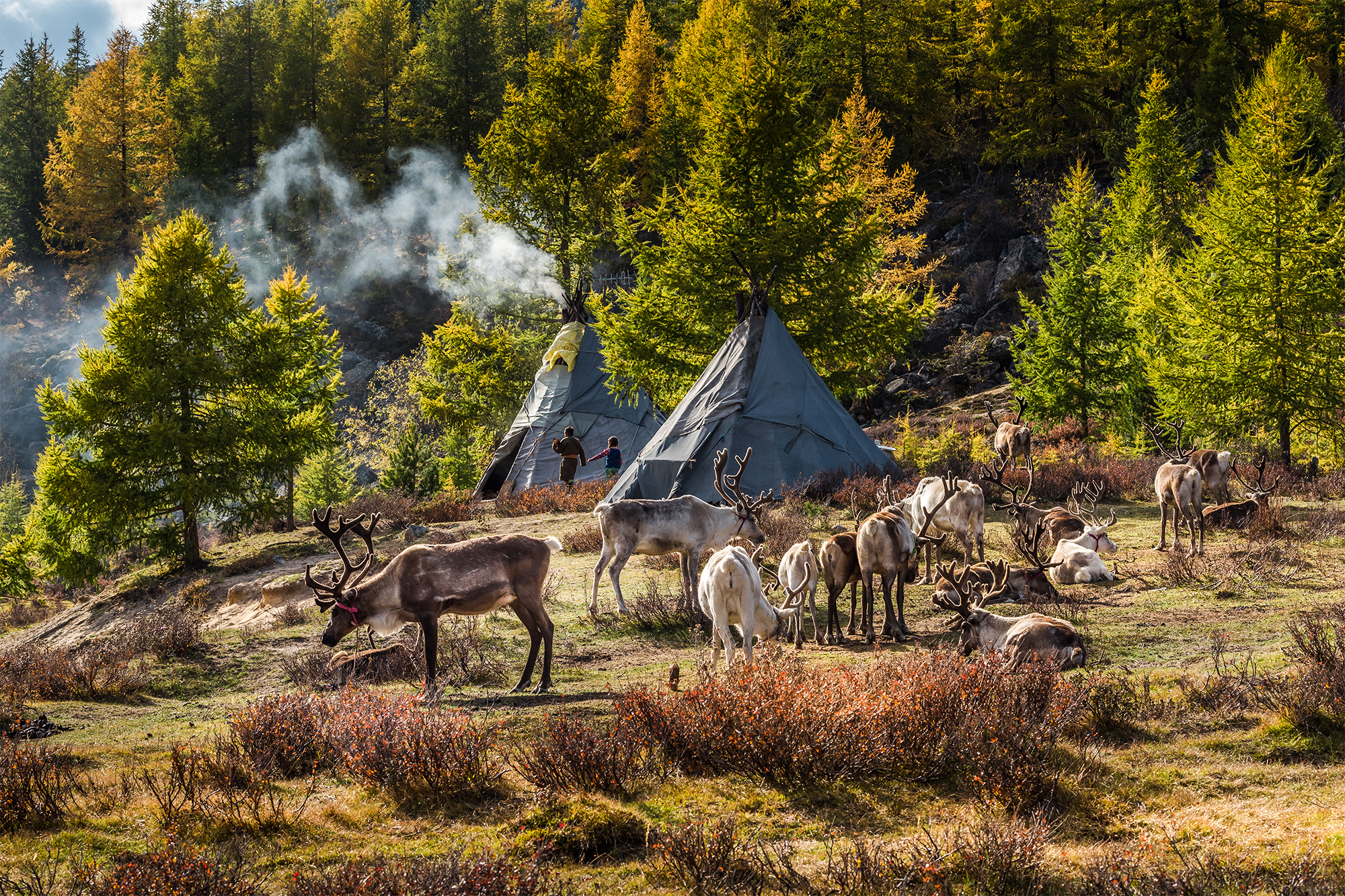 TAIGA'S REINDEER HERDERS 