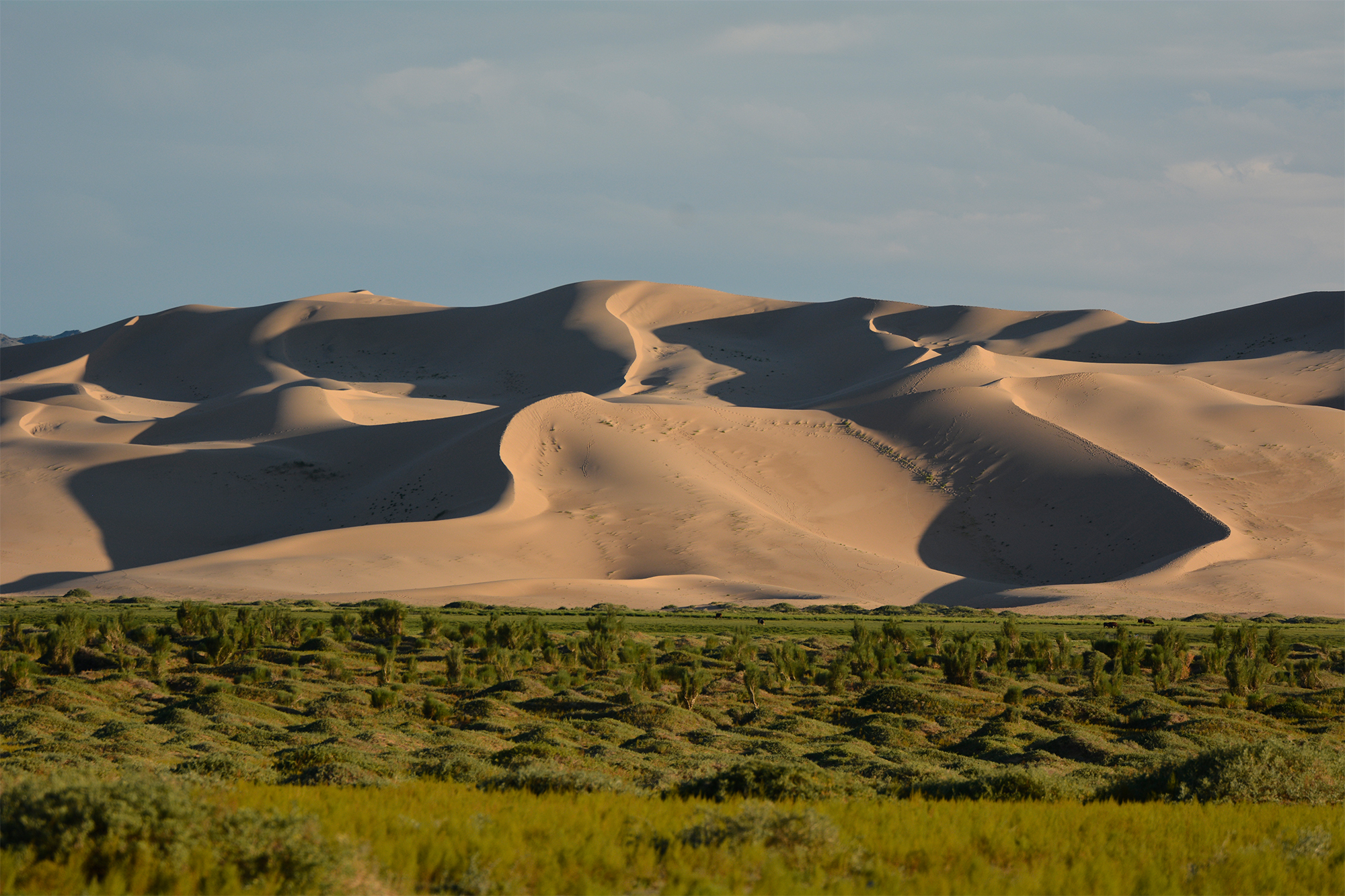 KHONGOR SAND DUNES
