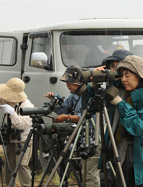 Bird watching tours