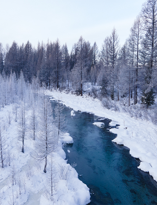 Winter tours