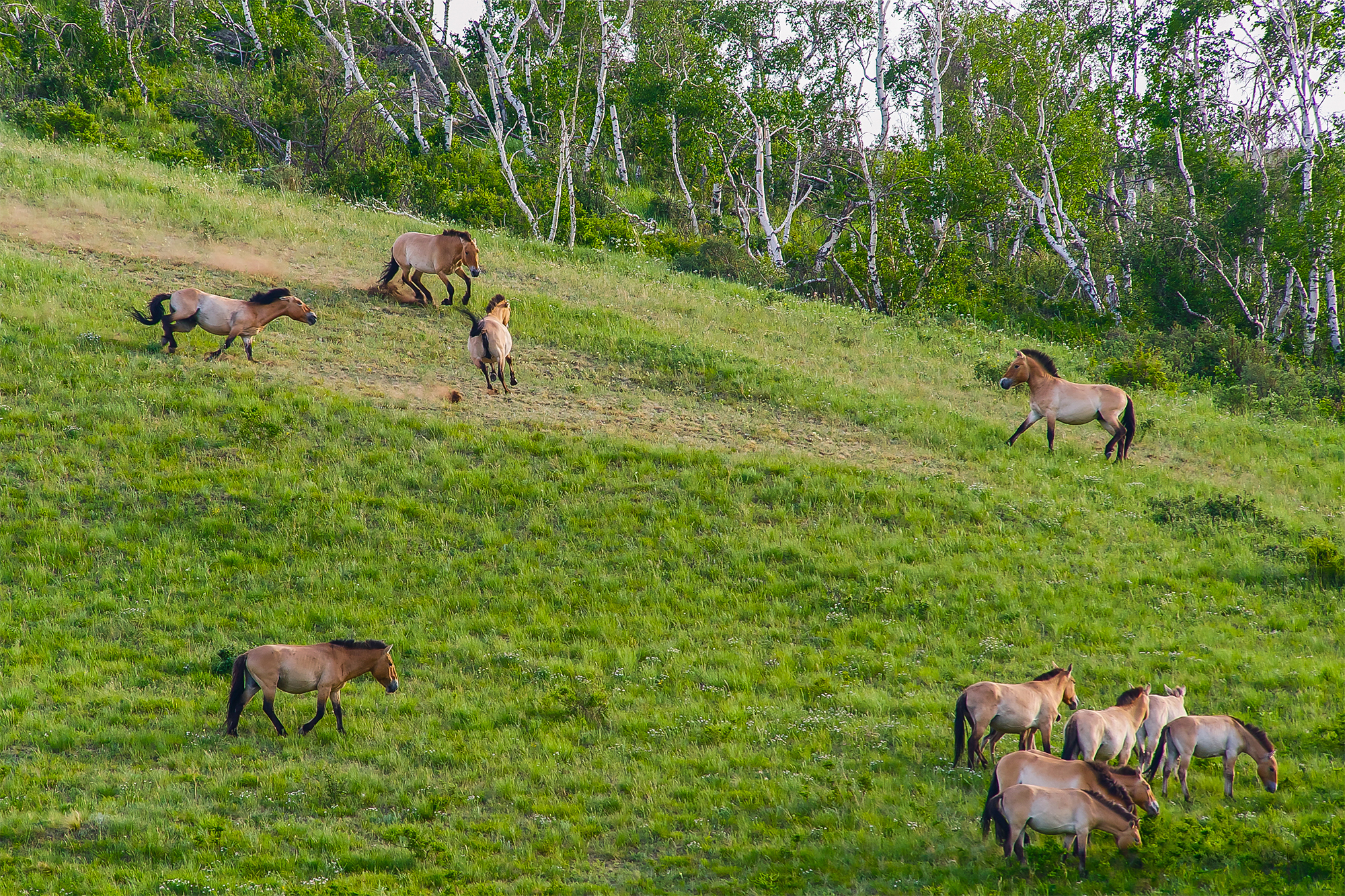 KHUSTAIN NATIONAL PARK